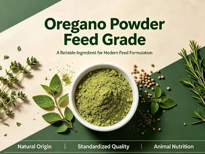 Why Do Feed Manufacturers Choose Oregano Powder Feed Grade?